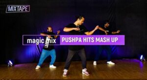 PUSHPA HITS (Mash Up)