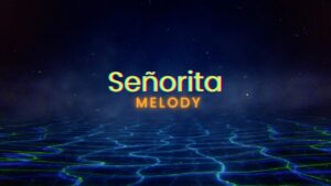 Senorita | Bachata Remix | Rohit