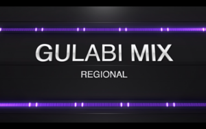 Gulabi Sadi x Gulabi Sharara | Regional Mix | Rohit